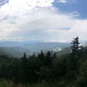 Meet your Posher, Ali